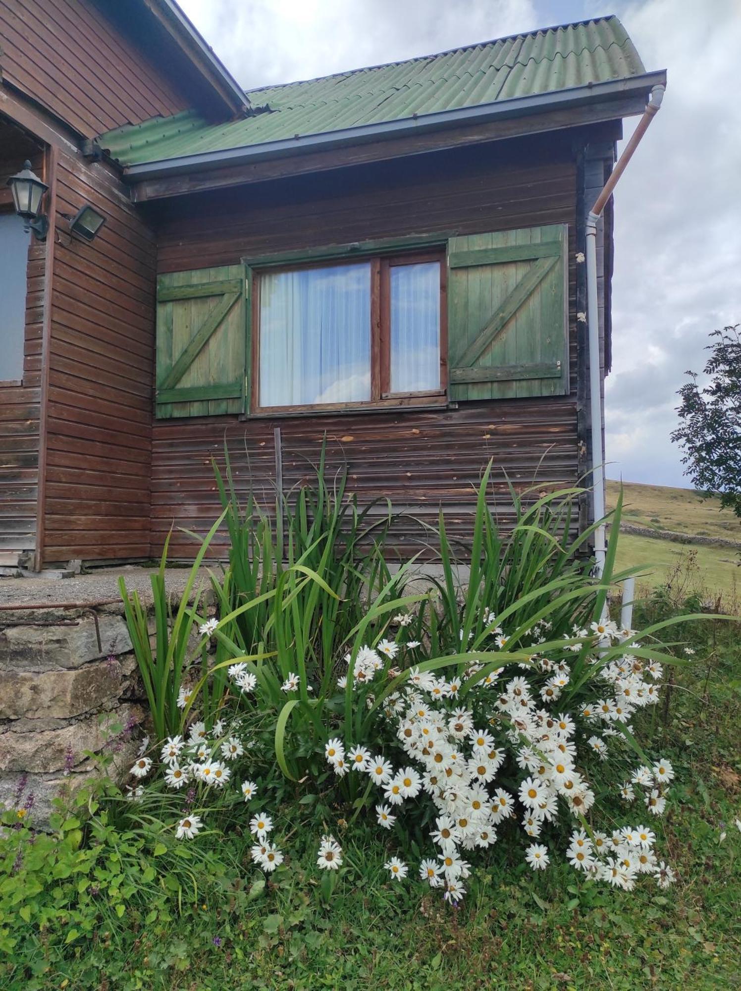 Birlik Yaylakent Caykara Exterior foto